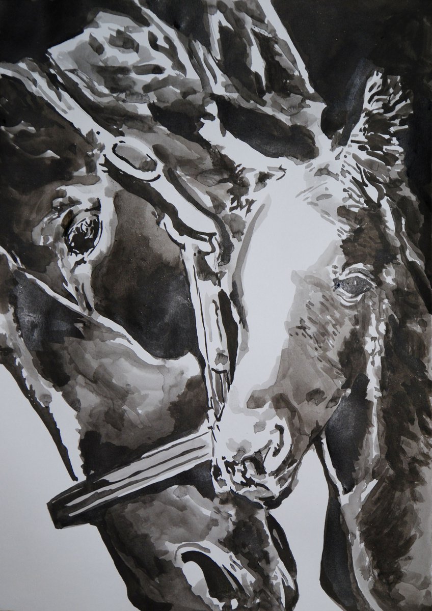 Horses / 50 x 35 cm by Alexandra Djokic