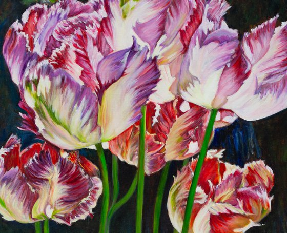 Tulips In The Sunlight