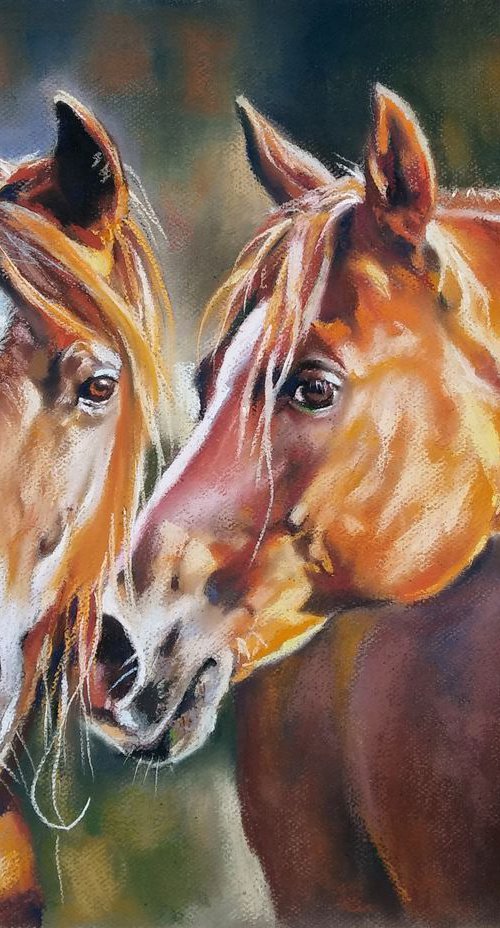 Portrait of two horses by Magdalena Palega