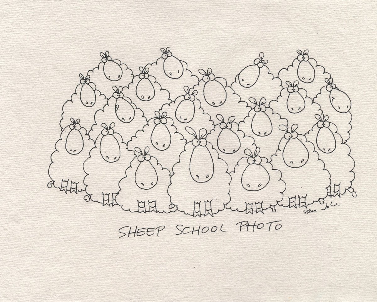 Sheep School Photo. Colour Cartoon by Steve John