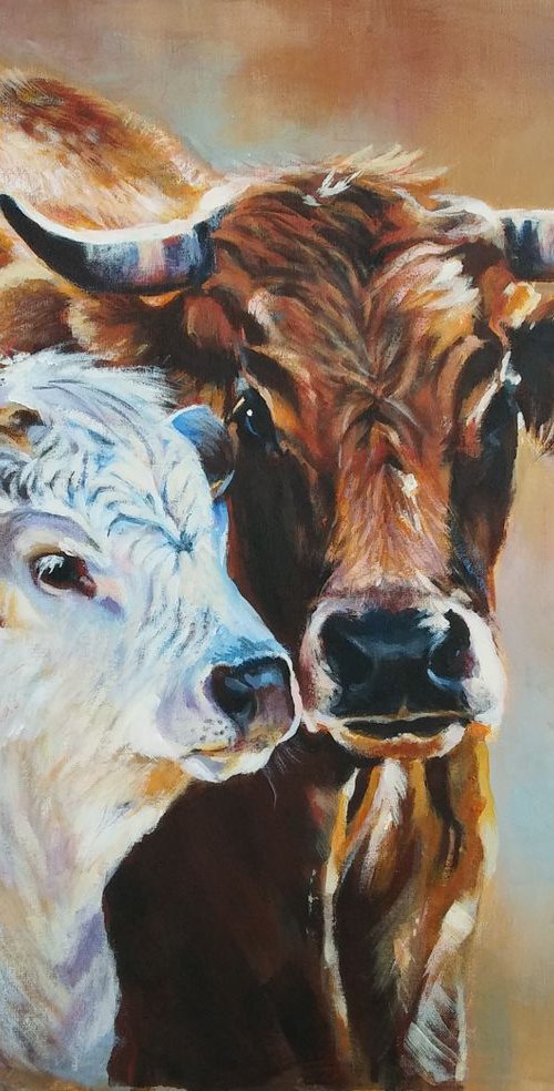 Cows by Magdalena Palega