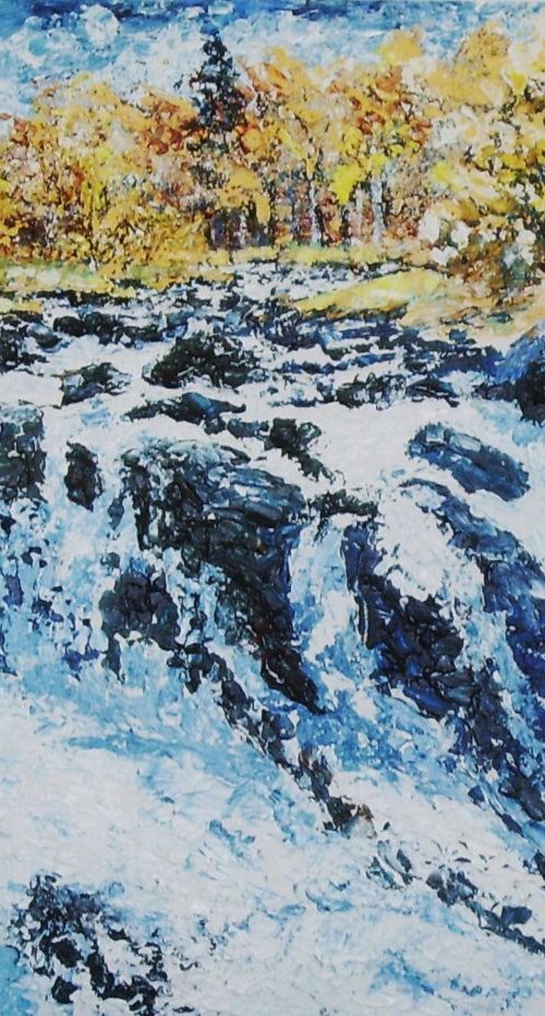 Swallow Falls by Max Aitken