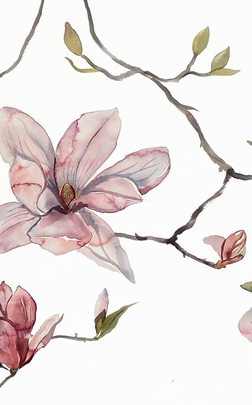 Magnolia No. 50 by Elizabeth Becker