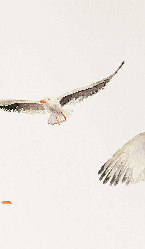 Two gulls scared sketch (5/5) by Karina Danylchuk