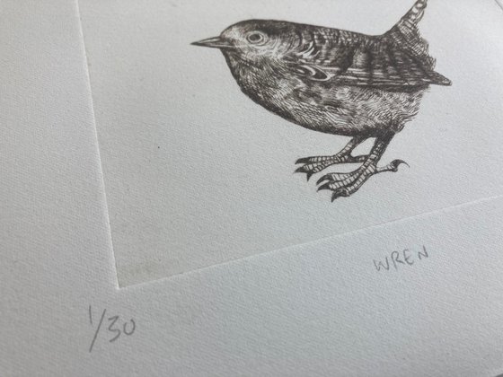 Wren