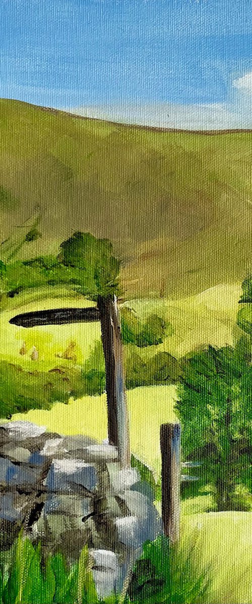 Cumbrian Footpath by Anne Bannell