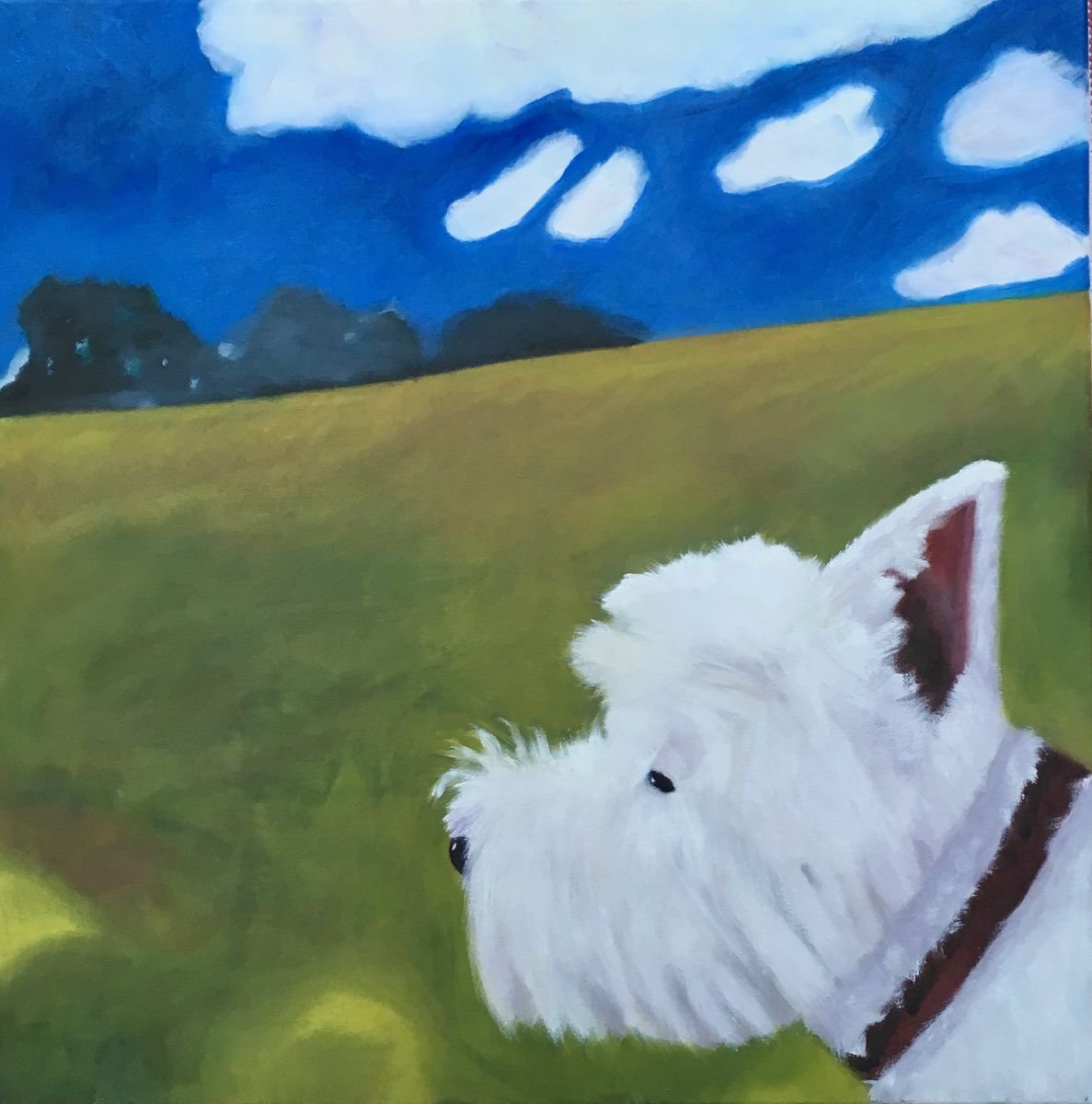 The Westie is king of all he surveys... by Chrissie Richards