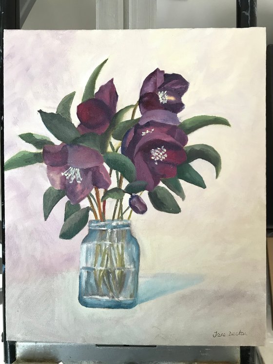 Hellebores in Oil