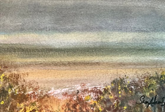 Shell bay, Dorset