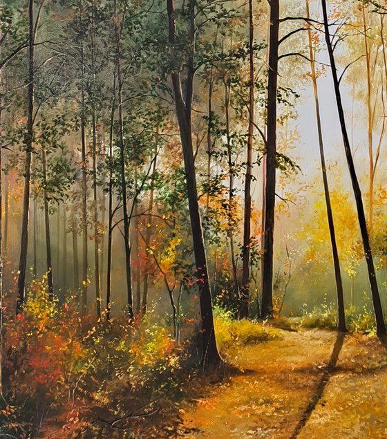 Sunlit Forest Serenity