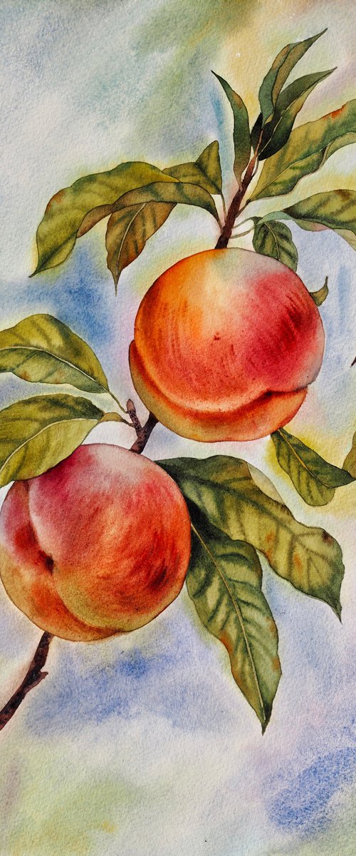 Peach tree - Mediterranean still life by Delnara El