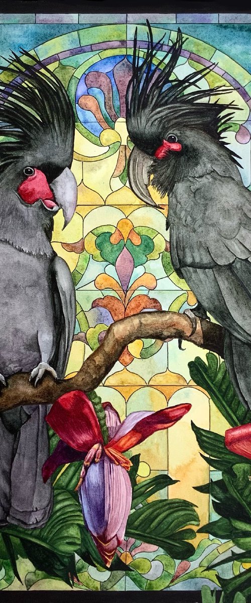 Palm Cockatoos by Lisa Lennon