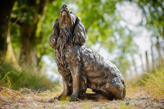 Sitting Working Spaniel 2 BR