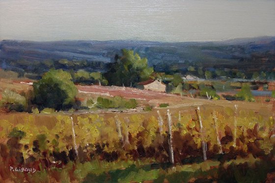 Autumn Vineyards in Vaucluse