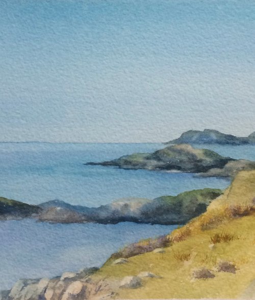 Pembrokeshire coastal path by Silvie Wright