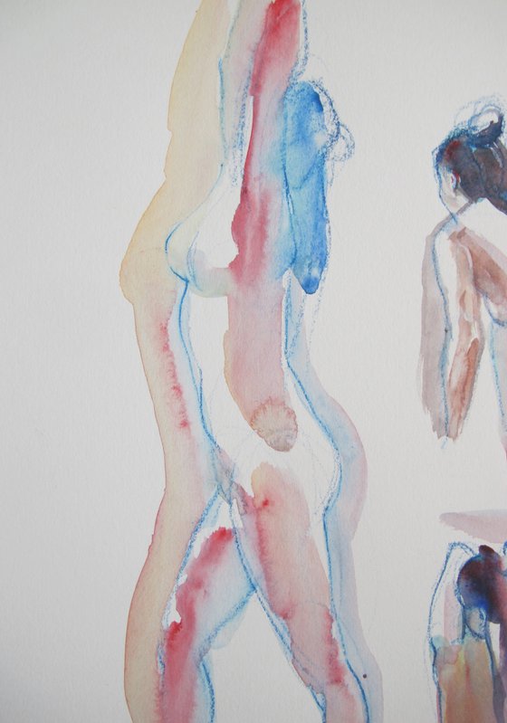 female nude in various poses