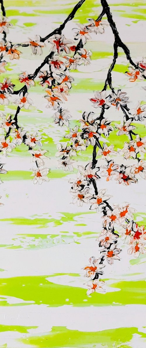 Cherries in the spring 2 by Daniel Urbaník