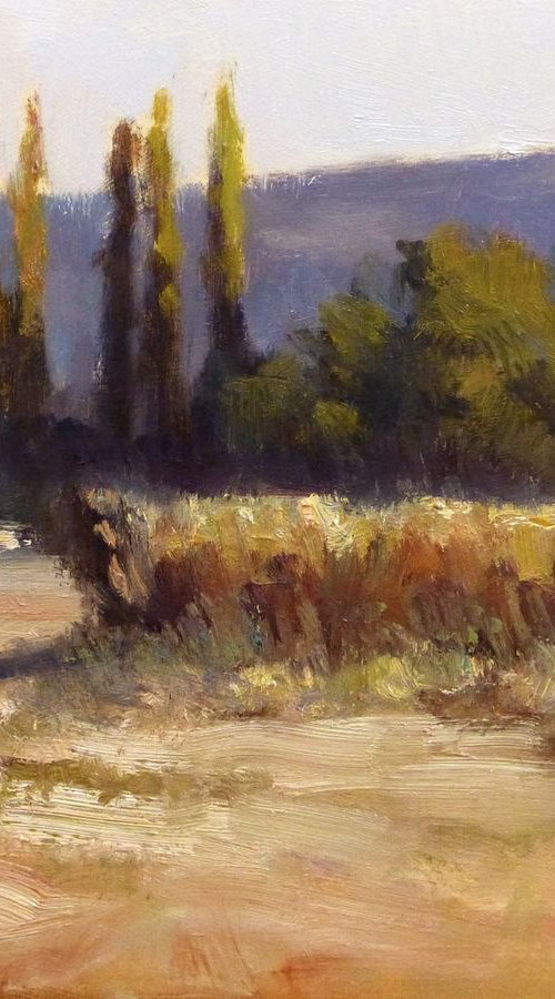 Poplars by Pascal Giroud