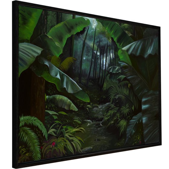Light Through the Rainforest