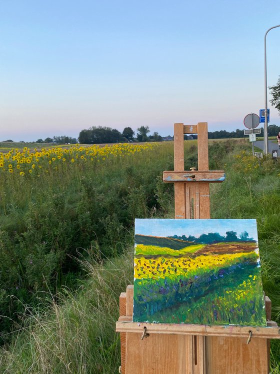 Sunflowers field. Plein air