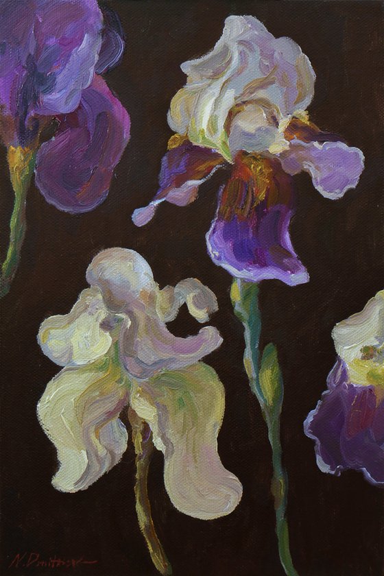 Irises - irises painting
