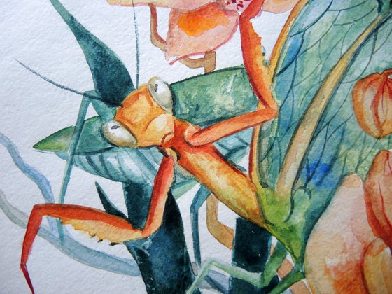 Watercolor illustration with mantises and orchids