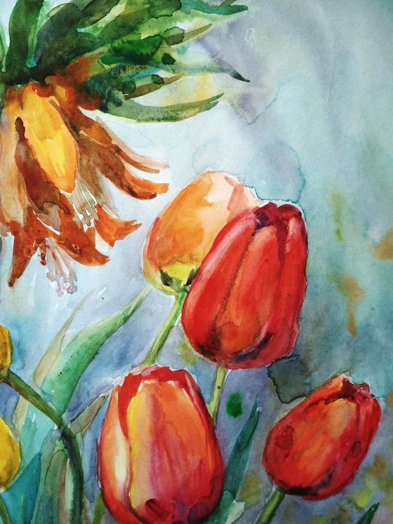 Spring Tulips