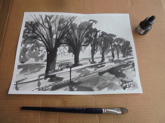 Ink study Jacaranda