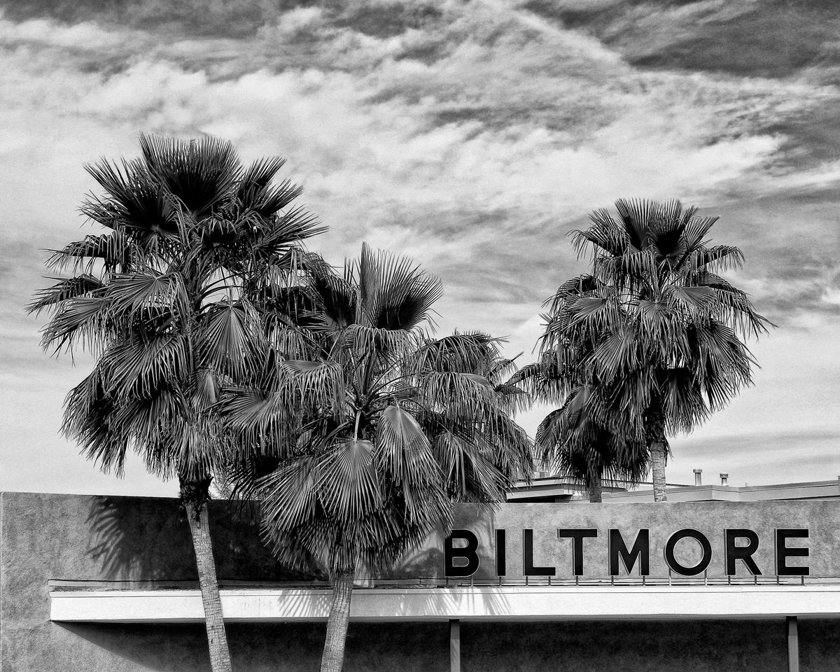 BILTMORE THROUGH OUR EYES by William Dey