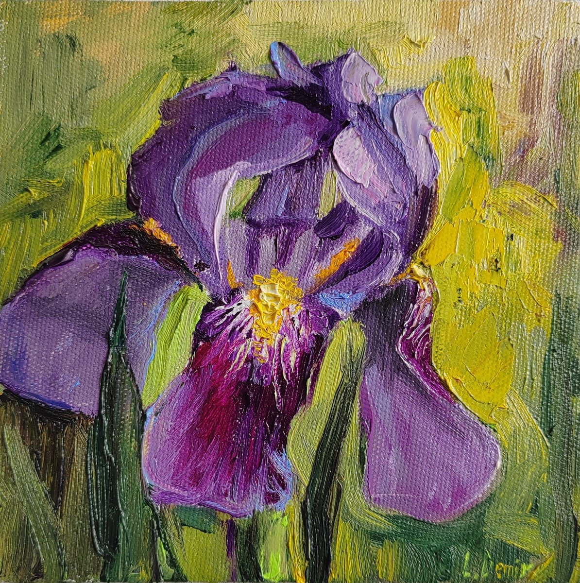 Purple iris flower by Leyla Demir