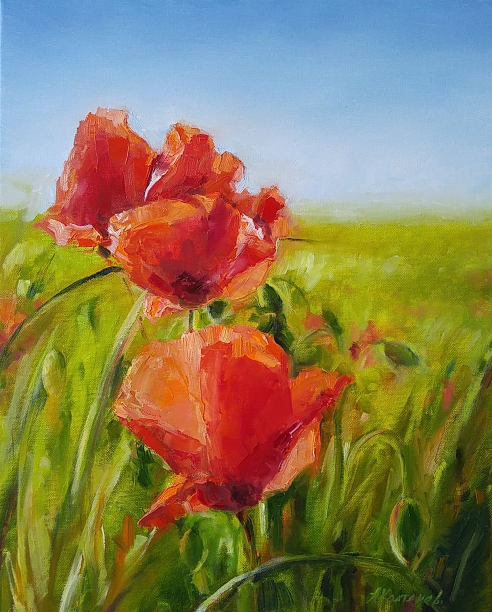 Poppies Oil painting by Alexander Koltakov | Artfinder