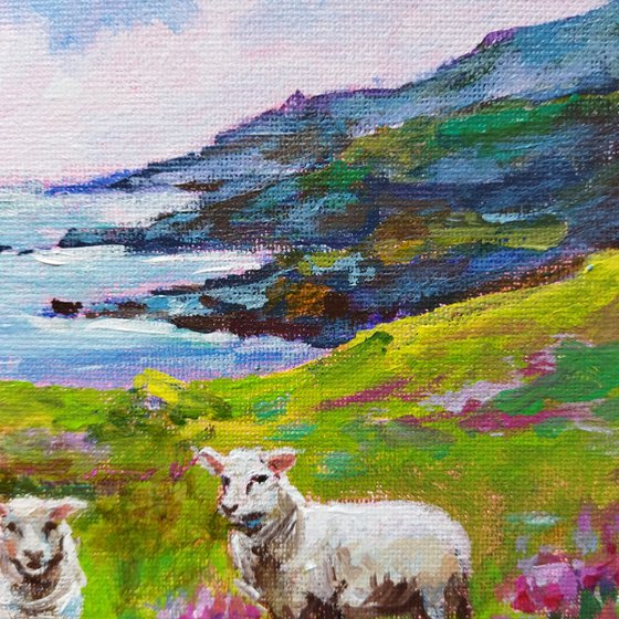 Scottish landscape, sheep on pasture