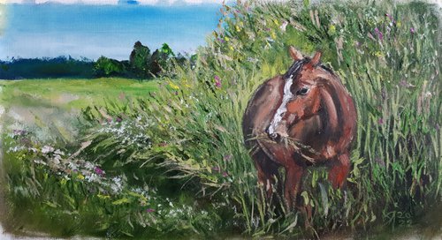 Horse in grass... /  ORIGINAL OIL PAINTING by Salana Art Gallery