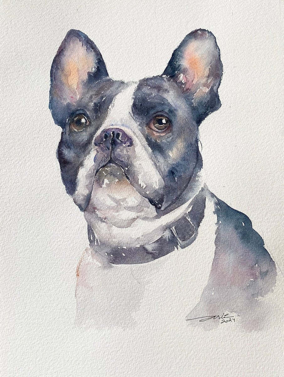 French Bulldog Fitz by Arti Chauhan