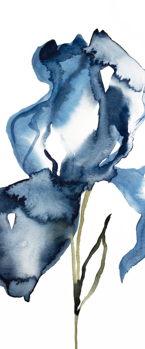 Iris No. 127 by Elizabeth Becker