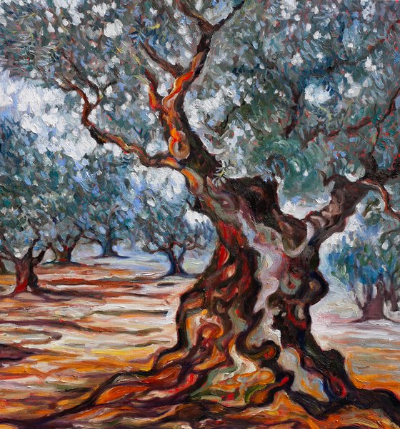 Olive Grove