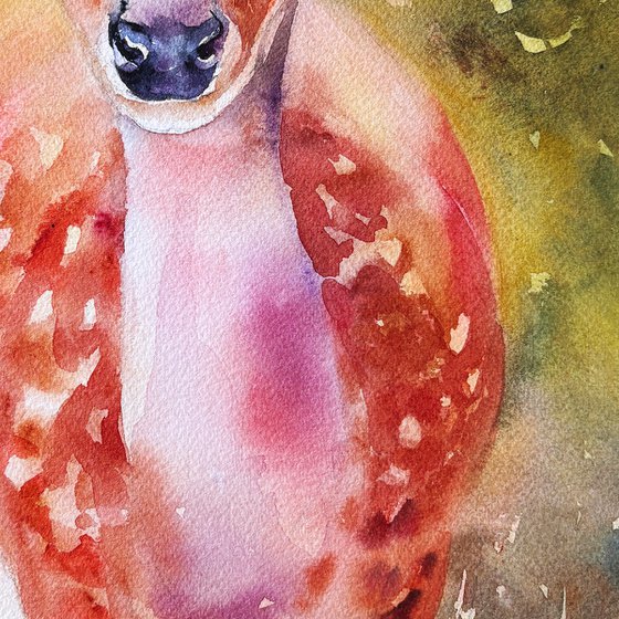 Forest Deer