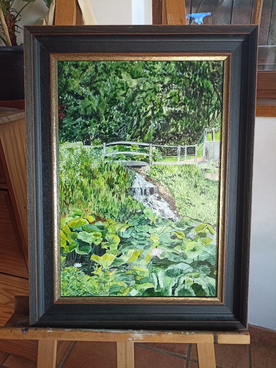Garden nymphéas lotus