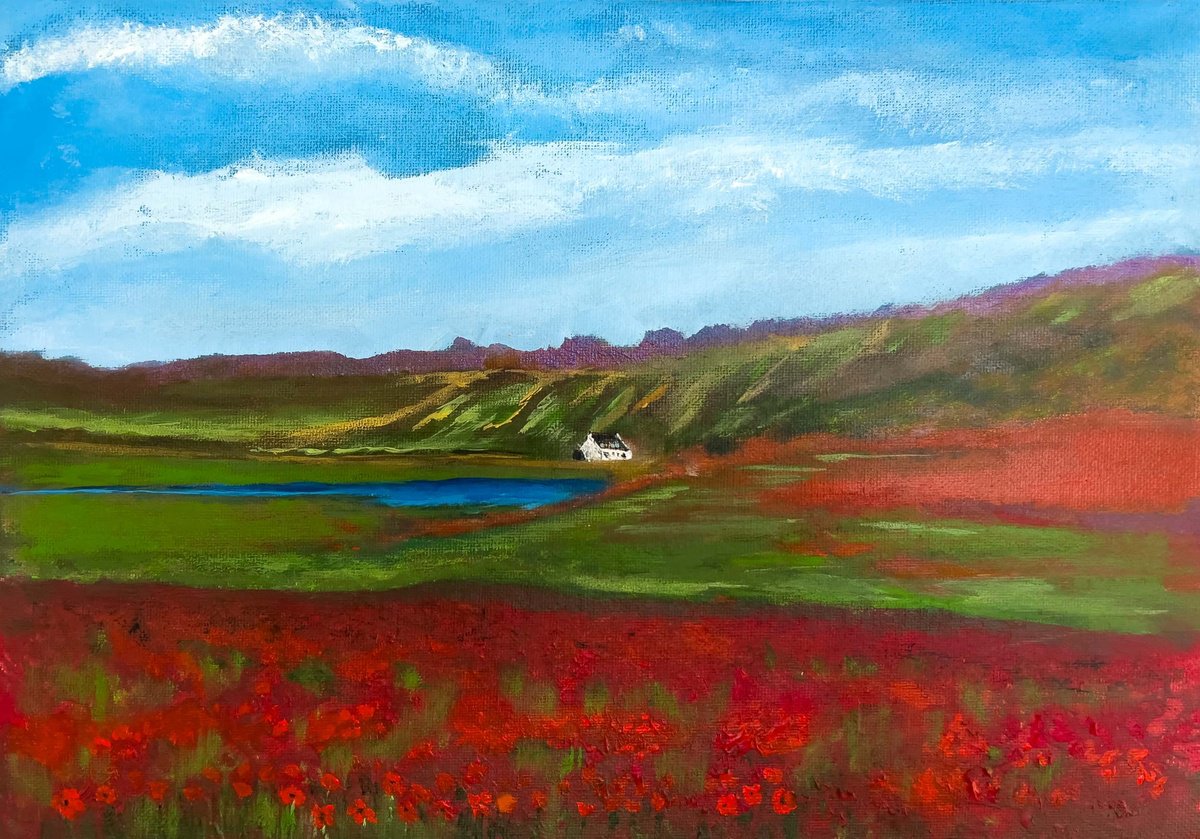 The Poppy Field 7 by KM Arts