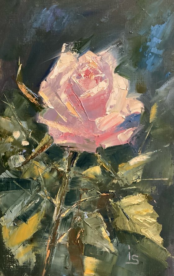 The Pink Rose 1