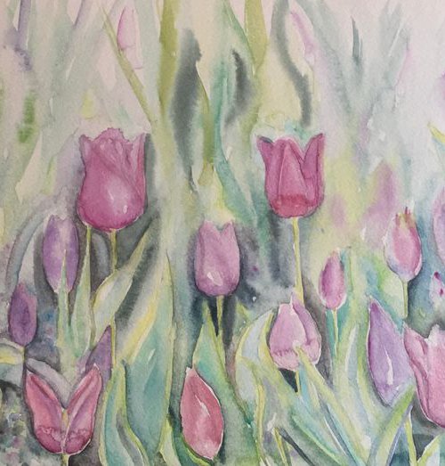 Tulips by Samantha Adams