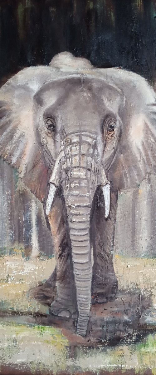 Grey  Elephant by Ira Whittaker