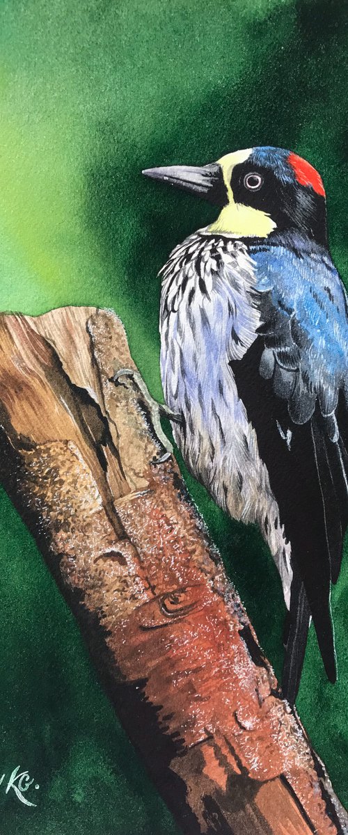Woodpecker from the collection "Watercolor birds" by Kakajan Charyyev