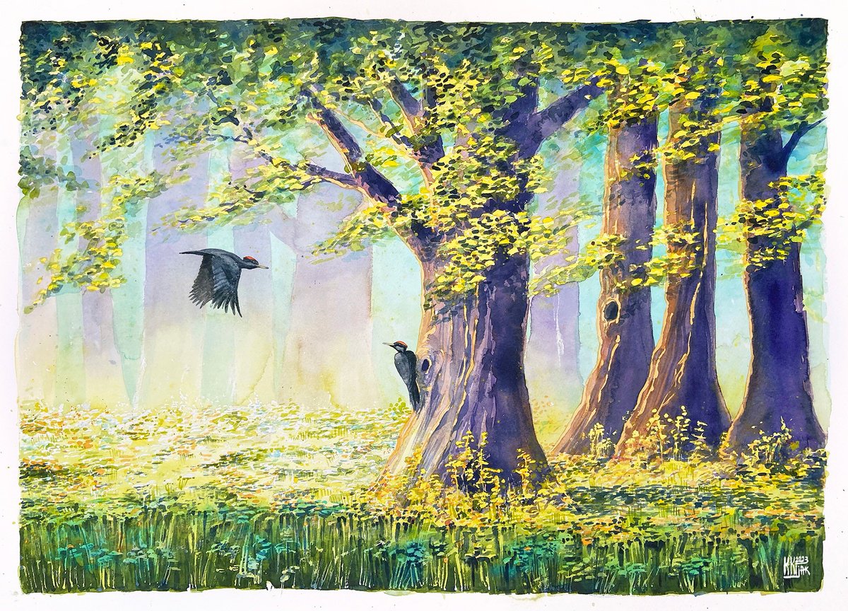 Forest landscape with black woodpeckers, original watercolor by Karolina Kijak