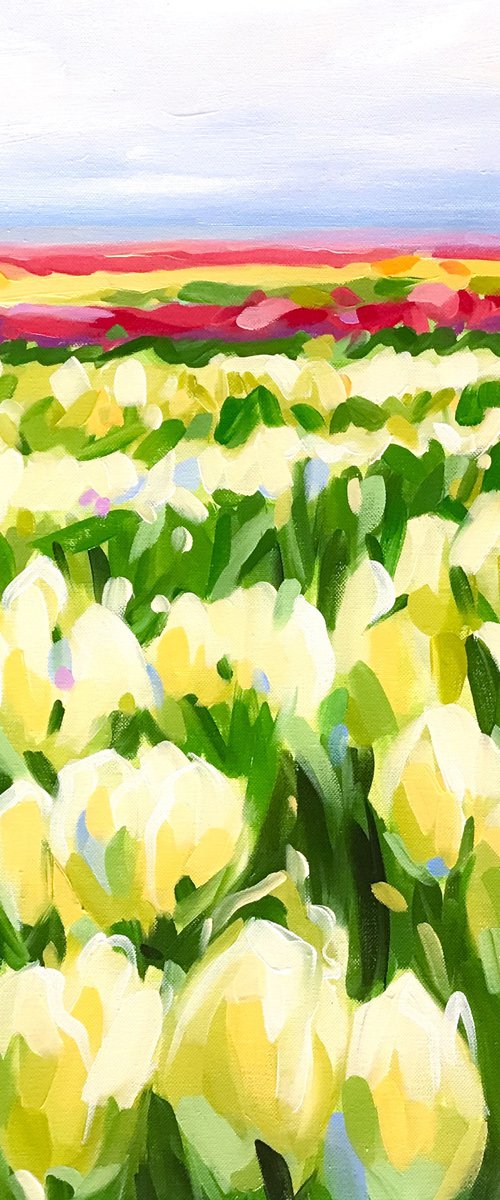 Tulip Fields by Nadia Kasko