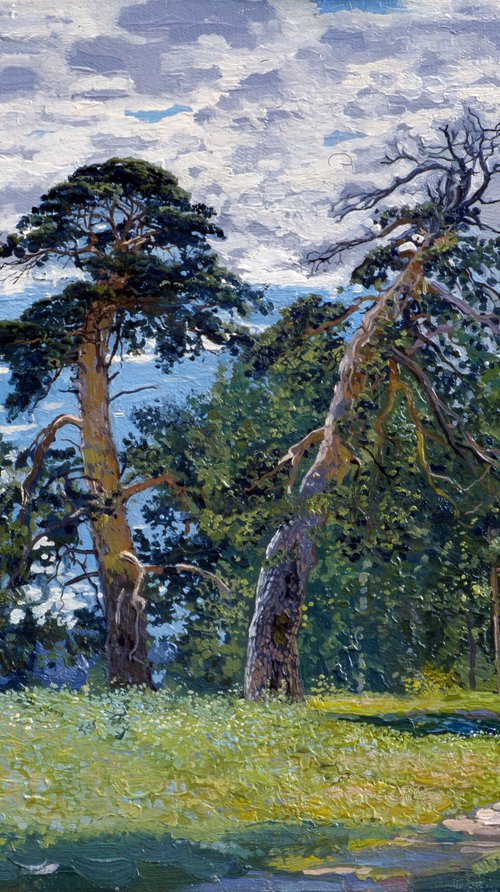Pine-trees on the val by Simon Kozhin