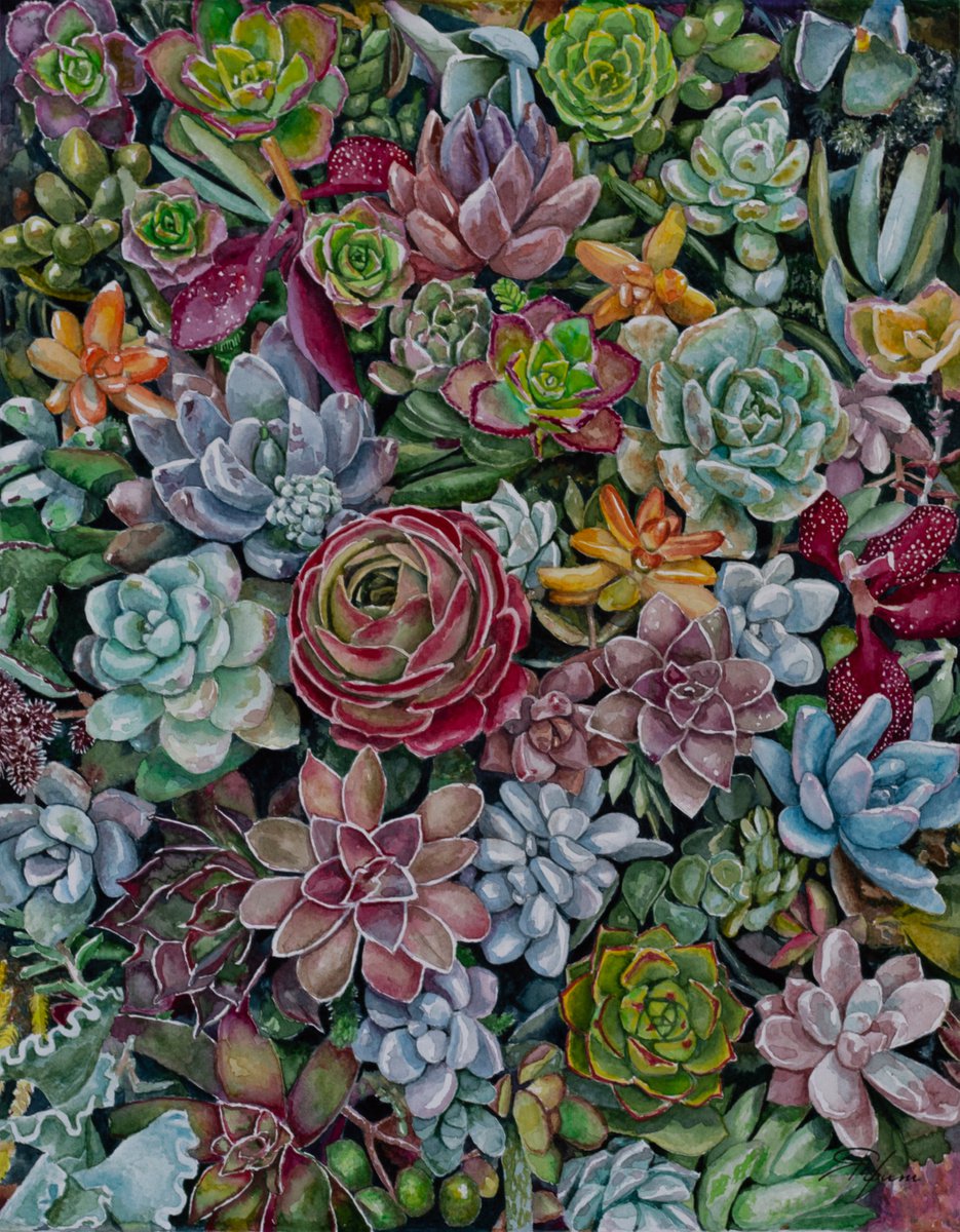 Succulents rainbow carpet. by Yafit Moshensky