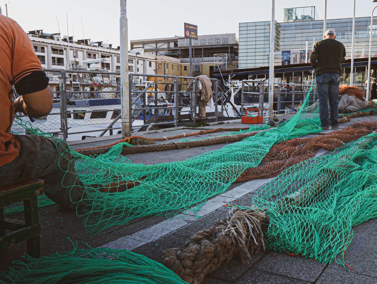 FISHERMAN LIFE by Fabio Accorri?