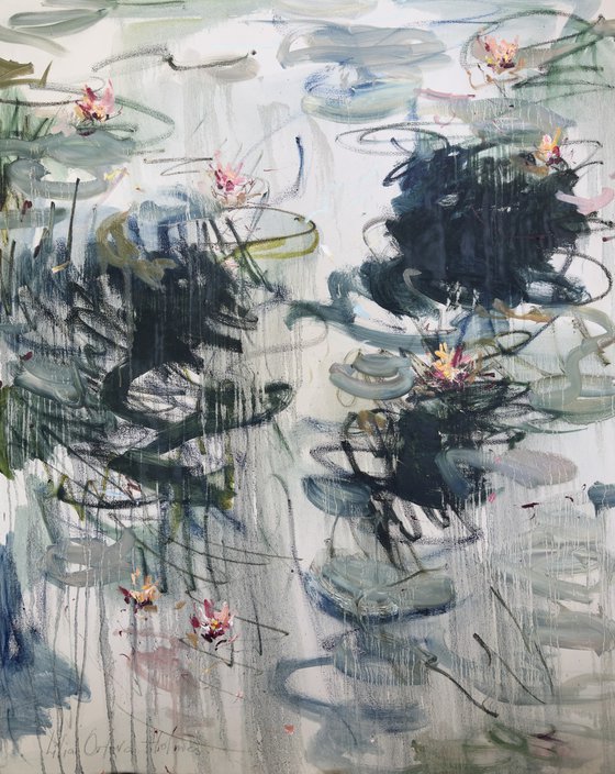 Water lilies. Spring reflections