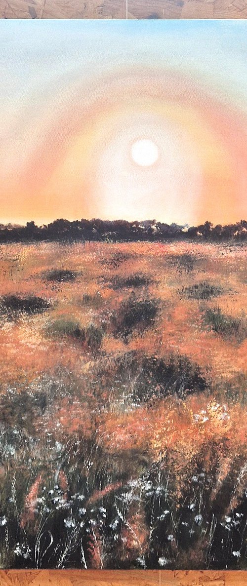 Amber Glow by Julia Kerrison